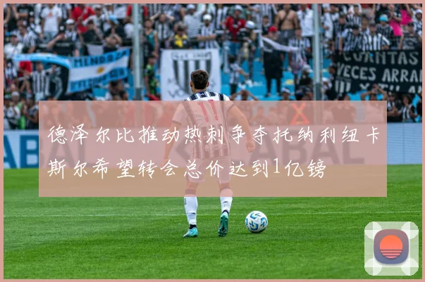 德泽尔比推动热刺争夺托纳利纽卡斯尔希望转会总价达到1亿镑