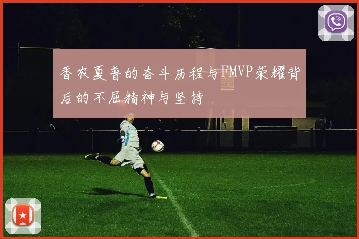 香农夏普的奋斗历程与FMVP荣耀背后的不屈精神与坚持