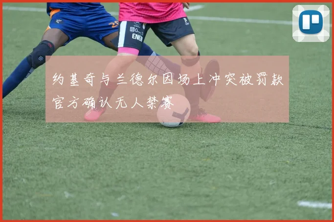 约基奇与兰德尔因场上冲突被罚款官方确认无人禁赛