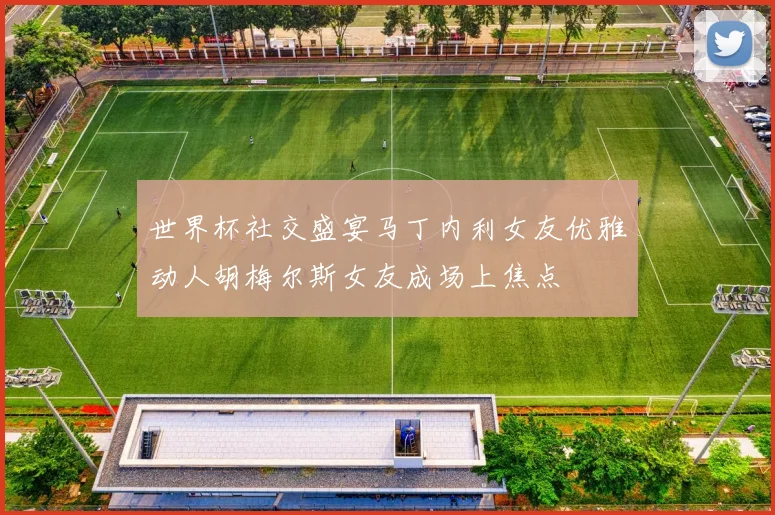 世界杯社交盛宴马丁内利女友优雅动人胡梅尔斯女友成场上焦点