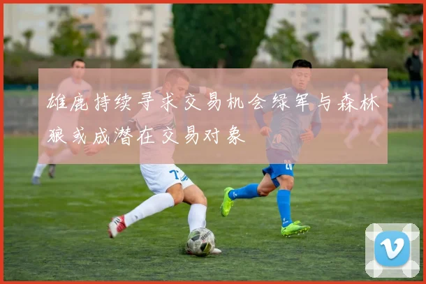 雄鹿持续寻求交易机会绿军与森林狼或成潜在交易对象