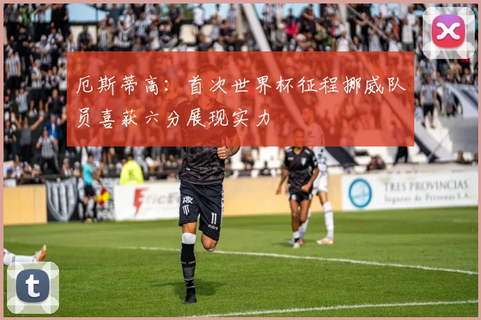 厄斯蒂高：首次世界杯征程挪威队员喜获六分展现实力